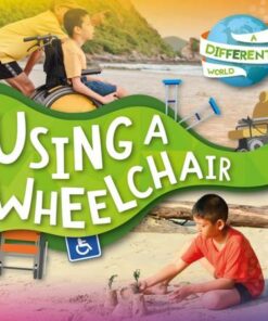 A Different World: Using a Wheelchair - Robin Twiddy - 9781839271359