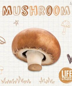 Life Cycle of a Mushroom - Brenda McHale - 9781839271571