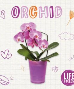 Life Cycle of a Orchid - Brenda McHale - 9781839271588