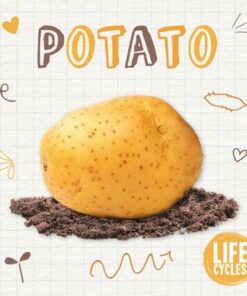 Life Cycle of a Potato - Kirsty Holmes - 9781839271595