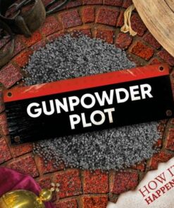 How It Happened: Gunpowder Plot - Robin Twiddy - 9781839274480
