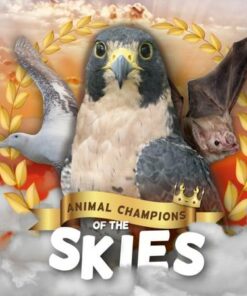 Animal Champions of the Skies - Madeline Tyler - 9781839274503