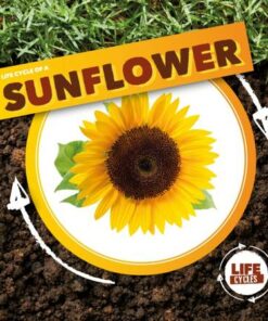 Life Cycle of a Sunflower - Kirsty Holmes - 9781839274732
