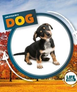 Life Cycle of a Dog - Kirsty Holmes - 9781839274749