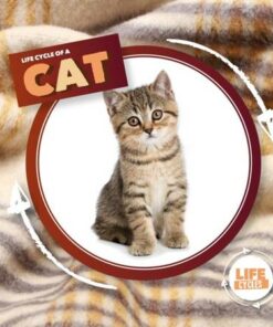 Life Cycle of a Cat - Kirsty Holmes - 9781839274770