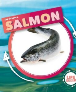 Life Cycle of a Salmon - Kirsty Holmes - 9781839274787