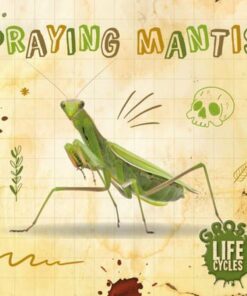 Gross Life Cycles: Praying Mantis - William Anthony - 9781839274817