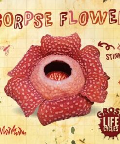 Gross Life Cycles: Corpse Flower - William Anthony - 9781839274824
