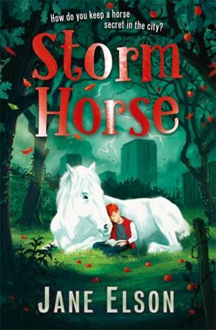 Storm Horse - Jane Elson - 9781444955699