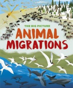 The Big Picture: Animal Migrations - Jon Richards - 9781445169873