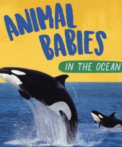 Animal Babies: In the Ocean - Sarah Ridley - 9781526314512