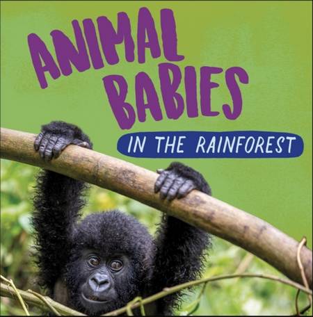 Animal Babies: In the Rainforest - Sarah Ridley - 9781526314536