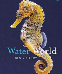 Water World - Ben Rothery - 9780241435533