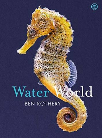 Water World - Ben Rothery - 9780241435533