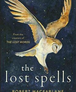 The Lost Spells: An enchanting
