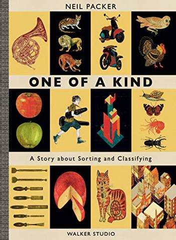 One of a Kind: A Story About Sorting and Classifying - Neil Packer - 9781406379228