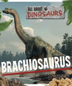 All About Dinosaurs: Brachiosaurus - Mignonne Gunasekara - 9781839271410