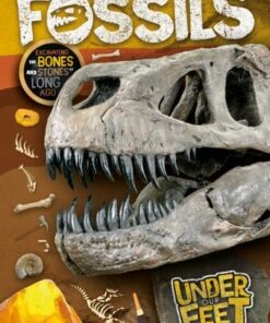 Under Our Feet: Fossils - Kirsty Holmes - 9781839271885