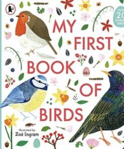 My First Book of Birds - Zoe Ingram - 9781406394184