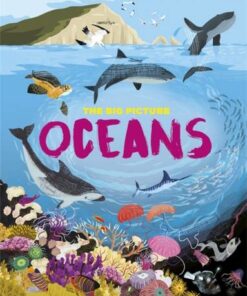 The Big Picture: Oceans - Jon Richards - 9781445170534
