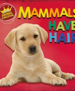 In the Animal Kingdom: Mammals Have Hair - Sarah Ridley - 9781526309013