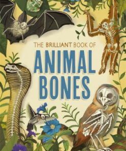 The Brilliant Book of Animal Bones - Anna Claybourne - 9781526312471