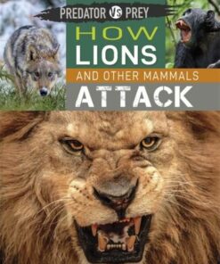 Predator vs Prey: How Lions and other Mammals Attack - Tim Harris - 9781526314444