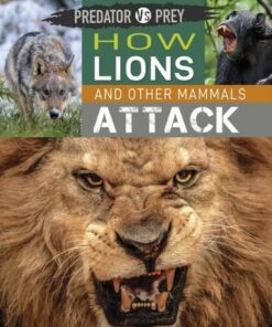Predator vs Prey: How Lions and other Mammals Attack - Tim Harris - 9781526314451
