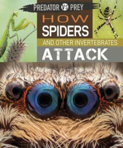 Predator vs Prey: How Spiders and other Invertebrates Attack - Tim Harris - 9781526314635