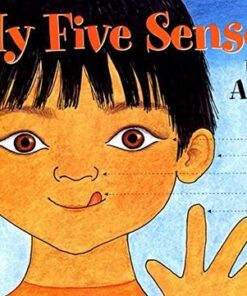 My Five Senses Big Book - Aliki - 9780060200503