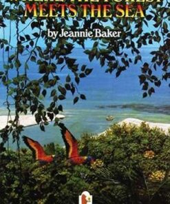 Where the Forest Meets the Sea Big Book - Jeannie Baker - 9780744563016