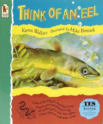 Think Of An Eel Big Book - Wallace Karen - 9780744569308