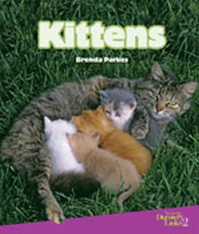 Discovery Links: Kittens - Brenda Parkes - 9781400760756