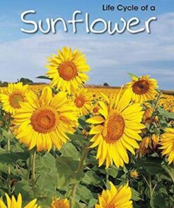Life Cycle of a Sunflower Big Book - Angela Royston - 9781484627938