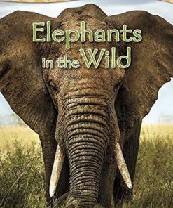 Elephants in the Wild Big Book - Claire Robinson - 9781484627976