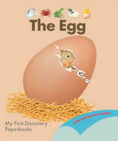 My First Discovery Paperbacks: The Egg - Rene Mettler - 9781851037544