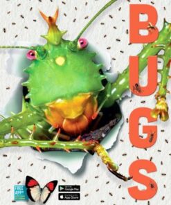 Bugs - Elizabeth Cranford - 9781912944286