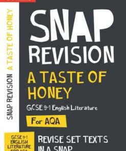 A Taste of Honey AQA GCSE 9-1 English Literature Text Guide: Ideal for home learning