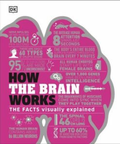 How the Brain Works: The Facts Visually Explained - DK - 9780241403372