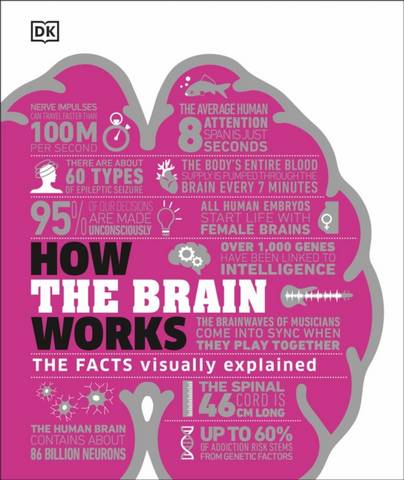 How the Brain Works: The Facts Visually Explained - DK - 9780241403372