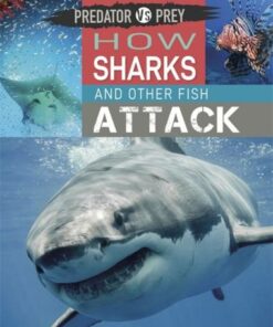 Predator vs Prey: How Sharks and other Fish Attack - Tim Harris - 9781526314611