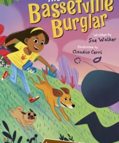 The Bassetville Burglar: (Brown Chapter Reader) - Sue Walker - 9781848868649