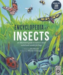 Encyclopedia of Insects - Mr. Jules Howard - 9780711249141