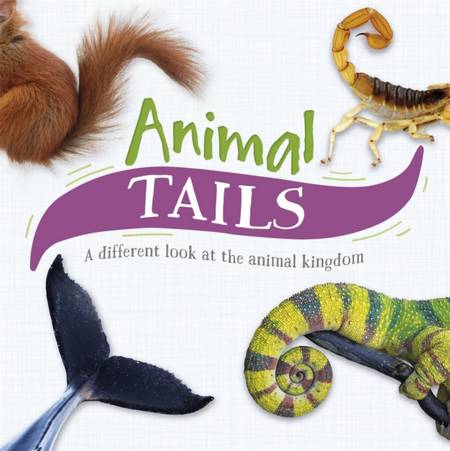 Animal Tails: A different look at the animal kingdom - Tim Harris - 9781526312556