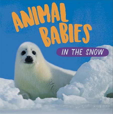 Animal Babies: In the Snow - Sarah Ridley - 9781526314437