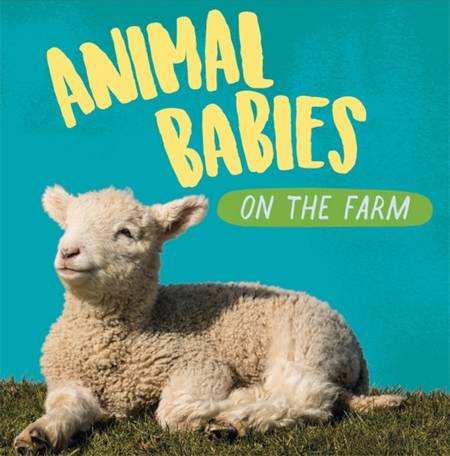 Animal Babies: On the Farm - Sarah Ridley - 9781526314505