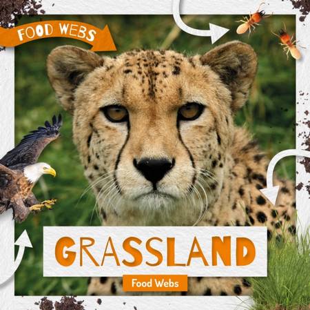 Grassland Food Webs - Harriet Brundle - 9781789980295