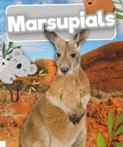 Marsupials - Madeline Tyler - 9781801551144