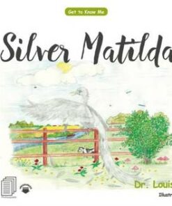 Silver Matilda: Get to Know Me: Depression - Louise Lightfoot - 9780815349457