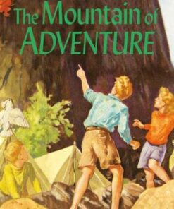 The Mountain of Adventure - Enid Blyton - 9781529008869